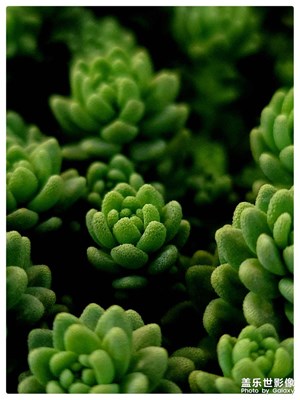 生活究竟是什么