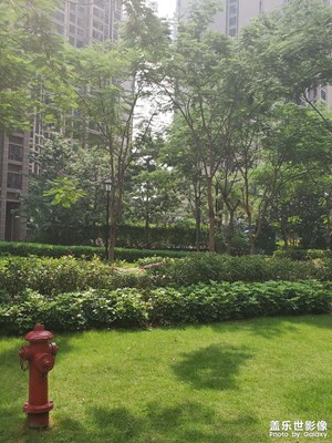 小區(qū)風(fēng)景