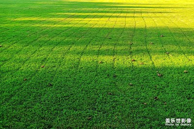 陽(yáng)光留下的痕跡