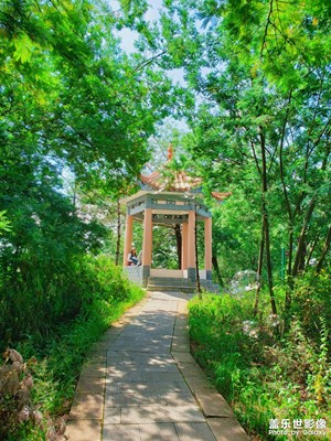 【隨走隨拍】 公園一角