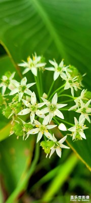 【隨走隨拍】 遇見(jiàn)美好