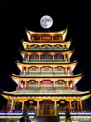 For SAMUNG Galaxy S20 