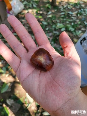 影像隨心＋拾栗記