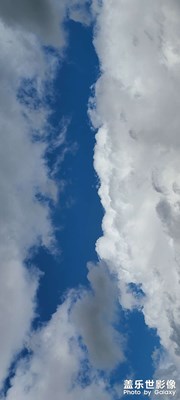 呼倫貝爾