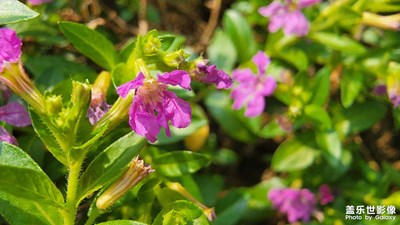 【我的假期生活】公司一日游