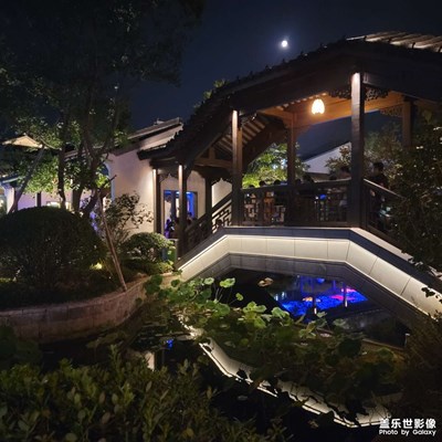 城里的月光把夢照