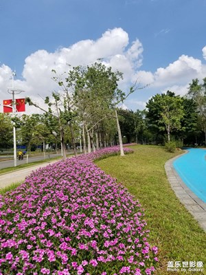 天氣晴朗，云也漂亮，用手機(jī)拍出最美的云！