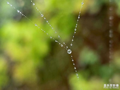 【影像從心】+卷珠（蛛）簾