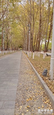 風(fēng)景圖片n10  青海的秋天