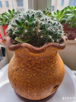 【我的假期生活】 賦閑在家