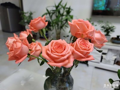 今日照片 鮮花和夕陽