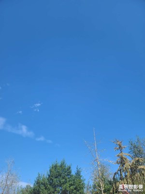 這天氣是真的好，