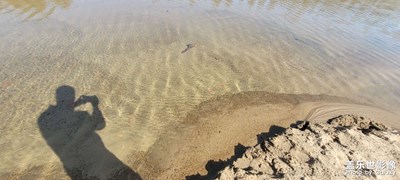 【我的假期生活】 沙灘攝影