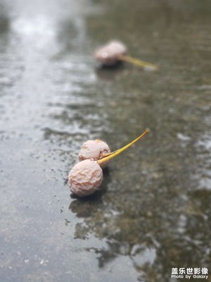 天天。。。。。。