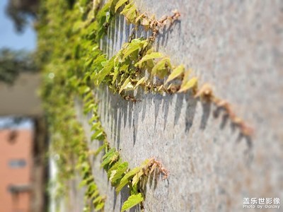 轉(zhuǎn)轉(zhuǎn)