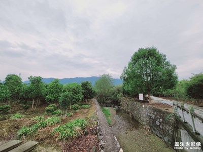 南方的秋還是太羞澀了