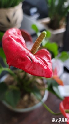 隨拍。。。。