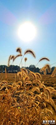 【形影不離】+東北的秋