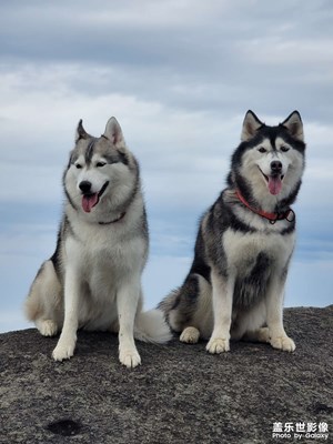 帶著“四哈”爬瀏陽(yáng)大圍山