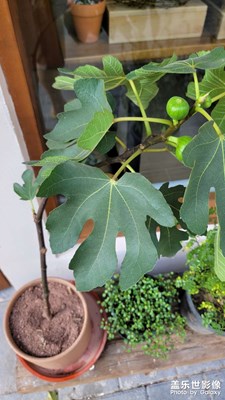 【nice?day】+秋影