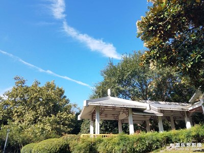 【nice day】 秋高氣爽