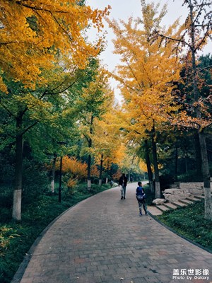 s21u記錄濰坊植物園深秋景色