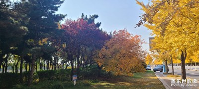 風里已經有了秋的味道