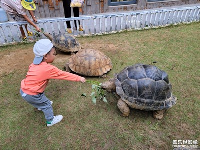 游記，散心隨手拍