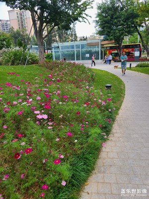 【nice day】+ 上班的路上