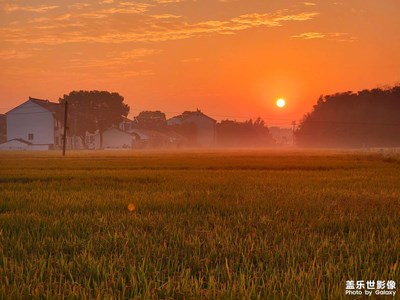 秋天的圖畫，大地的饋贈。