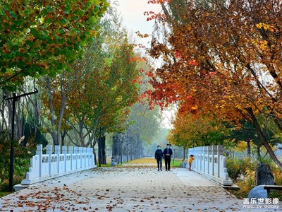 【身邊的美好】+ 踏入自然