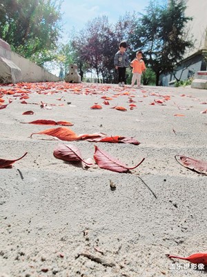 s21u拍照就是順手