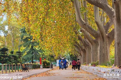 【鄭州人民公園】