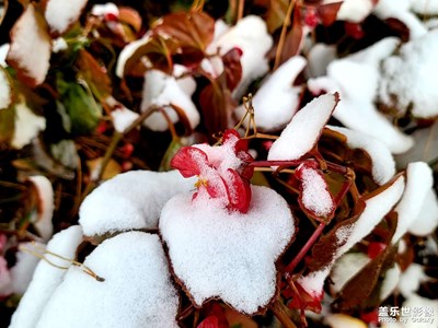 【立冬】+雪景初遇