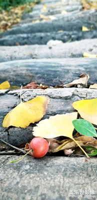 【身邊的美好】＋公園一隅