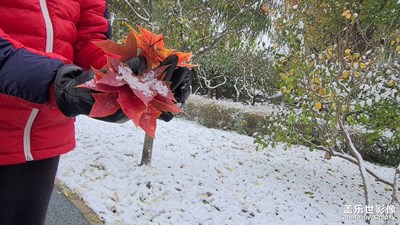 北京的第一場雪