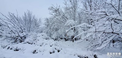沈陽初雪