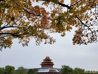 2021北京第一場(chǎng)雪