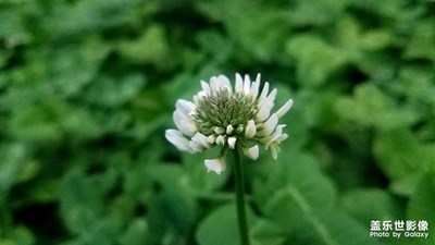 【立冬】+降溫前的暖日