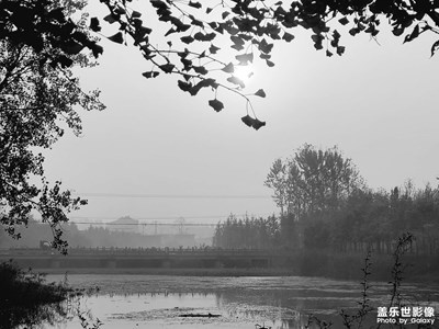 我要保存哪一張？