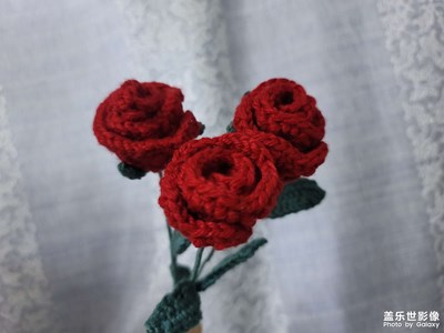 今日照片  毛線玫瑰花