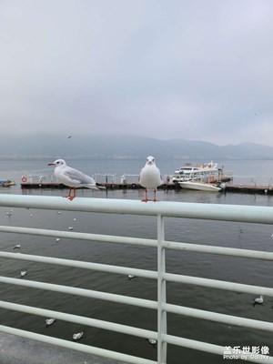 愿這個冬天，有人陪你看雪????