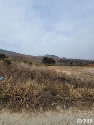 note20ultra長焦拍攝