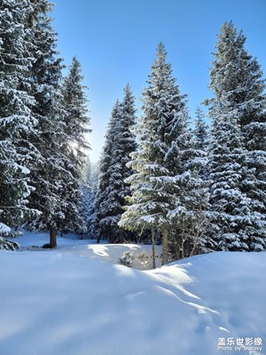 今日照片  烏魯木齊南山