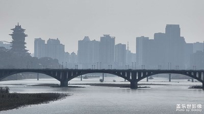 冬日午后陽光下的自然