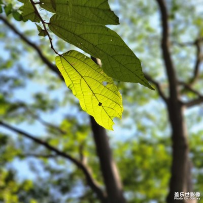 爬山隨拍