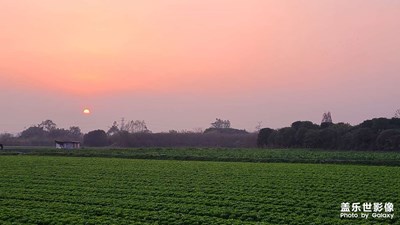 【城市漫游記】+成都郫都的冬天