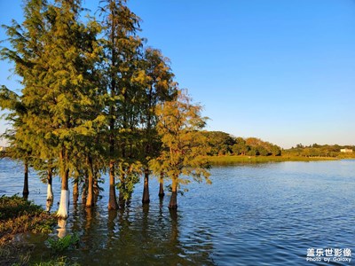 廣州的冬天.風(fēng)和日麗