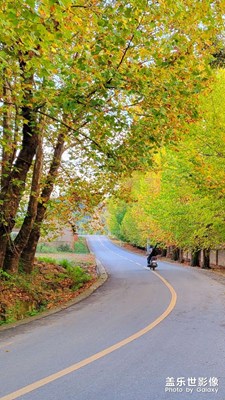 【難忘2021】+最美色彩