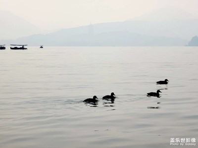 霧西湖